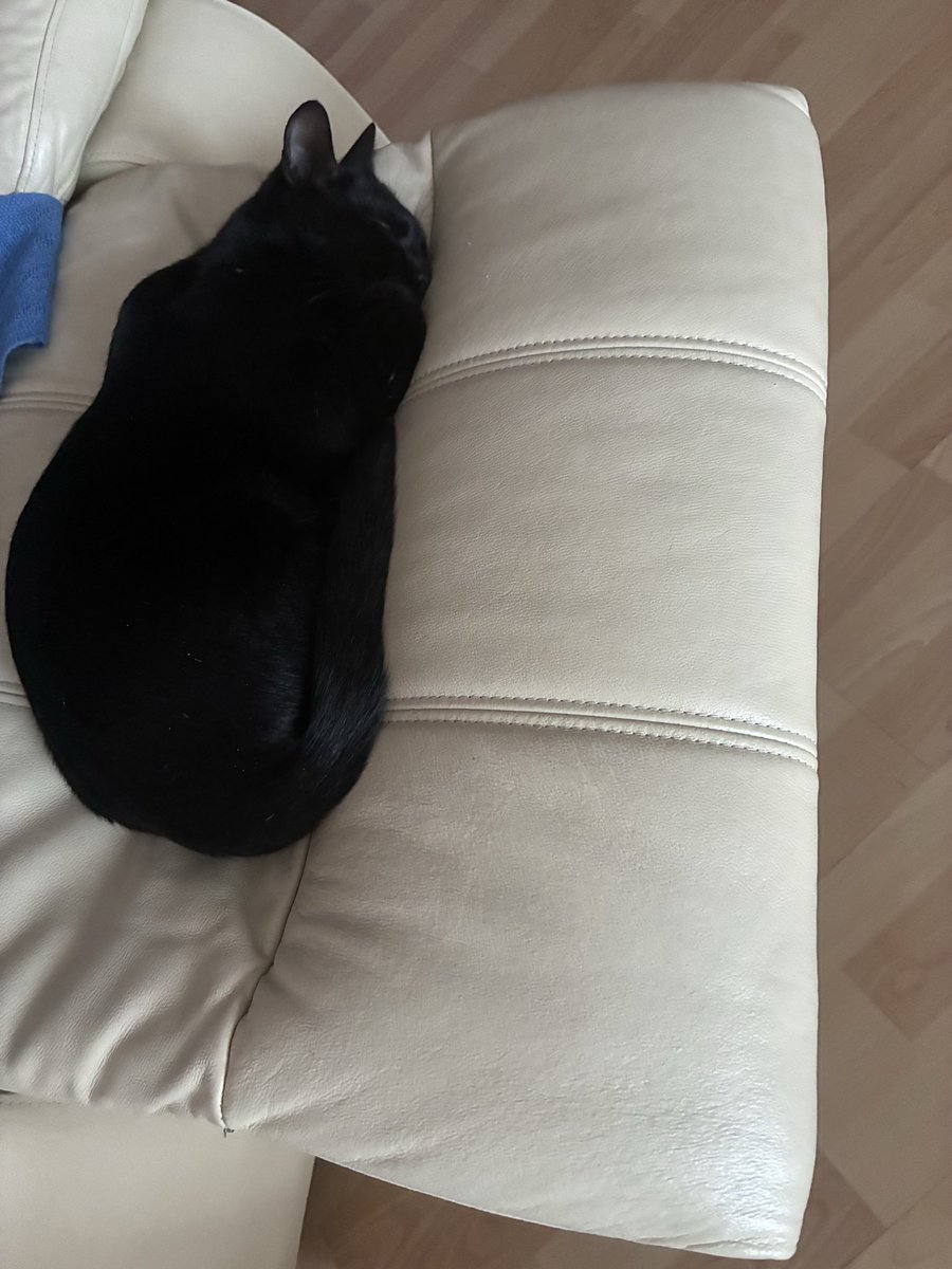 van_skvare's tweet photo. Kazu da prvo zivotinje osjete  potres- zamijenili smo uloge😅 https://t.co/1DMRorCXVR