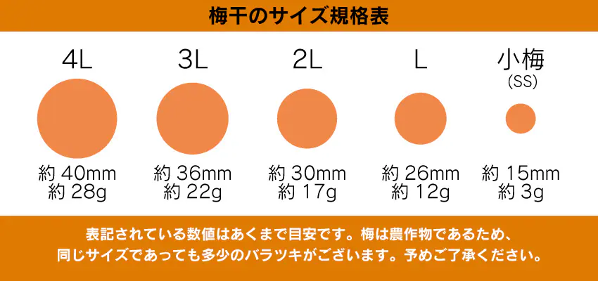 置き猫 tweet media