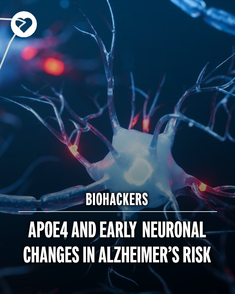 biohackingintl's tweet photo. The APOE4 allele is key to identifying early biomarkers in Alzheimer’s. Research shows it impacts neuronal vulnerability and metabolism long before symptoms begin, offerring a window for neuroprotective interventions. 

Read More:… https://t.co/1QZLE2INBj