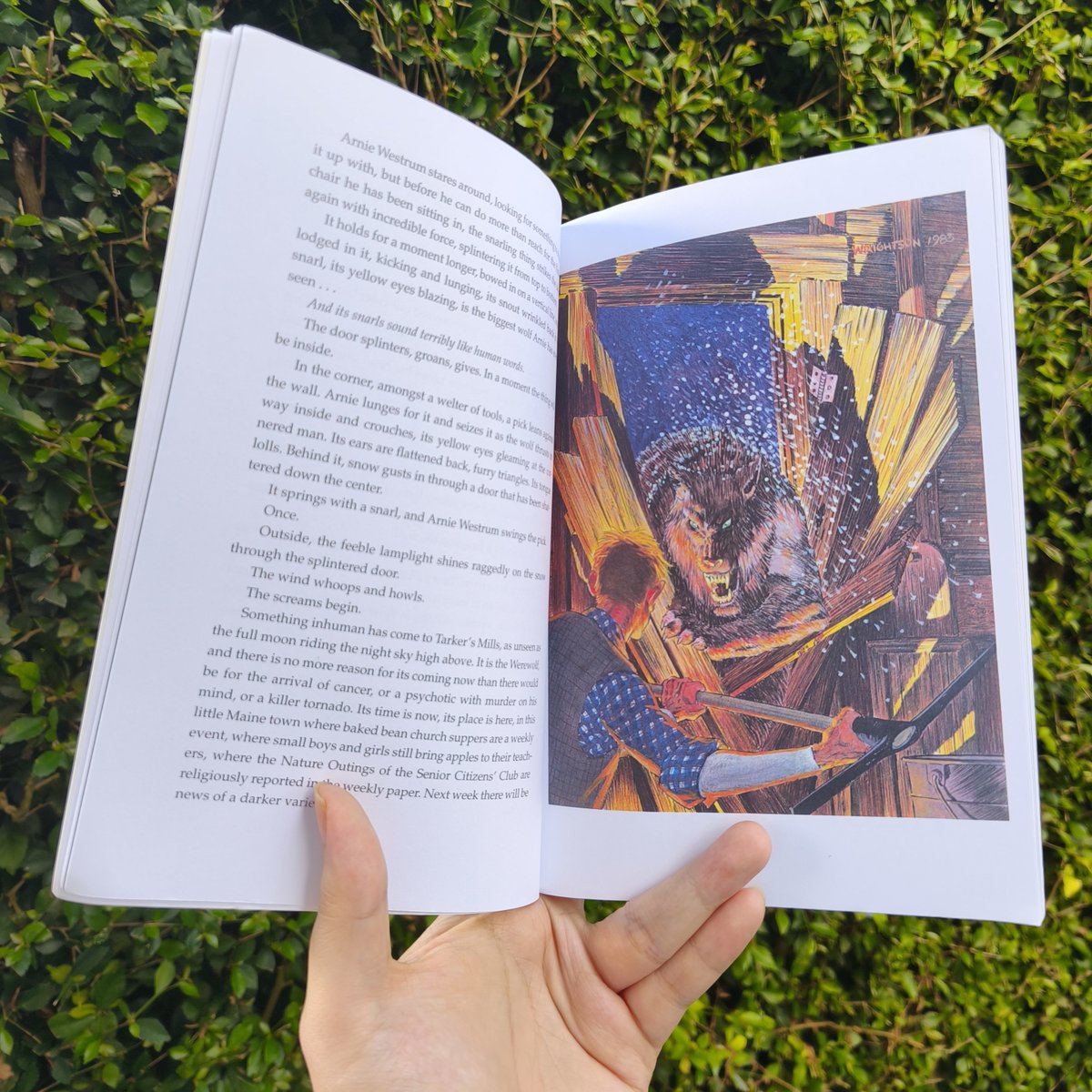 RandomPleb__'s tweet photo. WTS📚
Preloved Illustrated Novella

𝐂𝐲𝐜𝐥𝐞 𝐨𝐟 𝐓𝐡𝐞 𝐖𝐞𝐫𝐞𝐰𝐨𝐥𝐟 - 𝐒𝐭𝐞𝐩𝐡𝐞𝐧 𝐊𝐢𝐧𝐠
💵Rp59.000 

Experience a classic horror masterpiece! A 127 pages of spine-chilling terror, brilliantly illustrated by Bernie Wrightson🐺 🌕 

DM &amp; mention for details😈 https://t.co/S1Mn2CEgxf