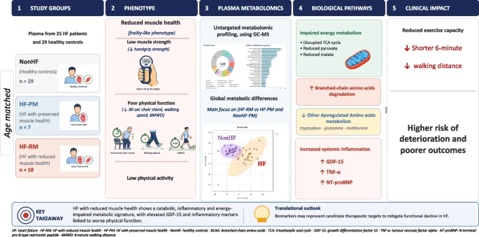 KostasProko's tweet photo. Plasma metabolomic and inflammatory profiles associated with low physical function in heart failure: an integrated cardiac–metabolic–muscular phenotype

@LiverpoolCCS

https://t.co/NuuGsXOCwT https://t.co/59491EOYuO