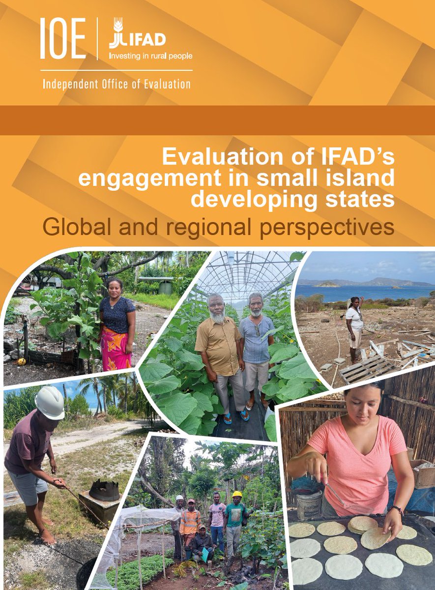IFADeval's tweet photo. 📝 According to our latest #evaluation of @IFAD’s engagement in small island developing states #SIDS, the focus of knowledge management systems should be improved. 

Read all the recommendations here ➡️ https://t.co/UHWEoEWbsz https://t.co/rl5CMcDPL2