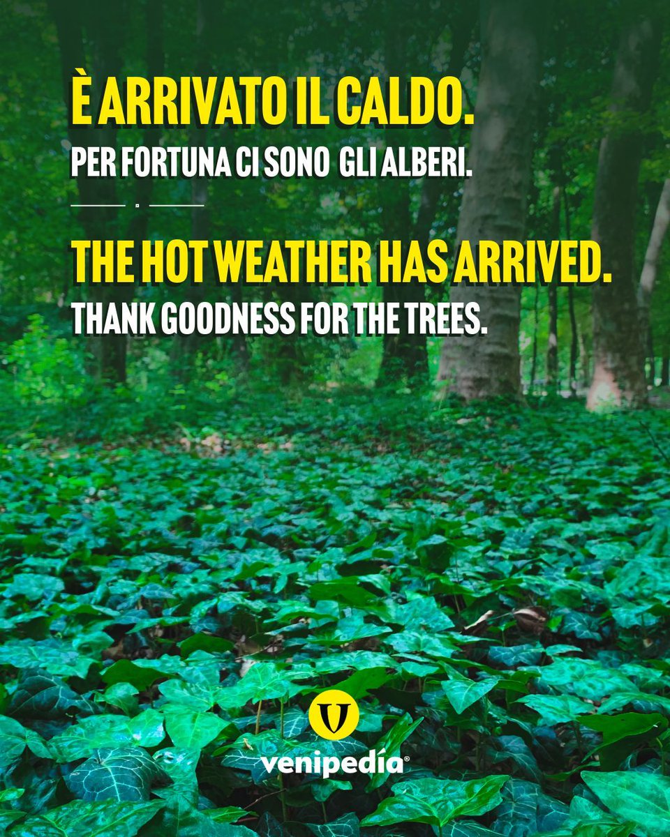 venipedia's tweet photo. 🇮🇹 (ENG below) Alberi. Il respiro della Terra. 🌳🌴🏡

Se c’è un momento in cui ci rifugiamo con estremo piacere nella naturale regolazione ambientale degli alberi è proprio quando la colonnina del termometro si impenna velocemente verso l’alto.

Il mito dell'Albero della conoscenza racchiude la perdita dell'armonia originaria con la natura e l'inizio di un cammino contraddittorio. Oggi, ritrovare questa comunione significa riscoprire l'"autoctonia", il sentimento cosmico di essere generati dalla Terra, che dissolve la solitudine e pone l'individuo in relazione con l'essere eterno. La Terra ci riflette: gli alberi sono metafore perfette dell'esistenza umana, radicati e nutriti dalla linfa vitale.

Un benessere per gli occhi, per lo spirito e per il fisico che istintivamente riconosciamo.

Scopri di più 👉 https://t.co/BRcEADdsR4 

Sempre tuoi,
I Mastri Venipediani

🌏 Trees. The breath of the Earth. 🌳🌴🏡

If there is one time when we take great pleasure in seeking refuge in the natural climate-regulating properties of trees, it is precisely when the mercury in the thermometer shoots rapidly upwards.

The myth of the Tree of Knowledge encapsulates the loss of our original harmony with nature and the beginning of a contradictory journey. Today, rediscovering this communion means rediscovering ‘autochthony’, the cosmic sense of being born of the Earth, which dissolves loneliness and places the individual in relation to the eternal being. The Earth reflects us: trees are perfect metaphors for human existence, rooted and nourished by the sap of life.

A sense of well-being for the eyes, the spirit and the body that we instinctively recognise.

Enjoy more 👉 https://t.co/MfW3lWAtyR 

Always yours,
The Venipedian Masters