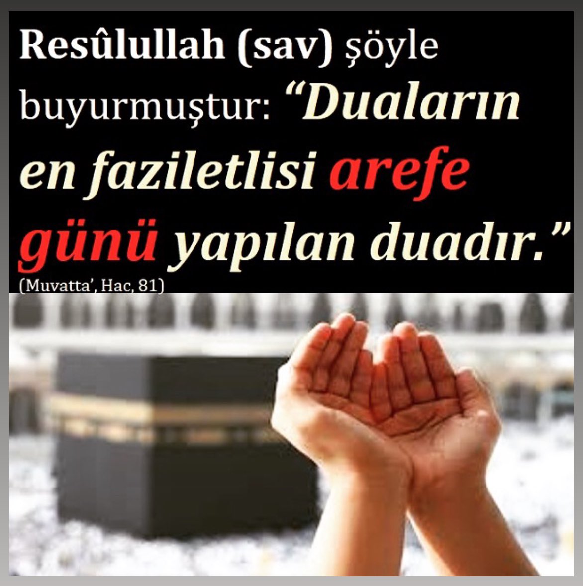 Tefekkür tweet media