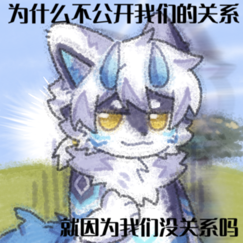医鲨Eshar tweet media