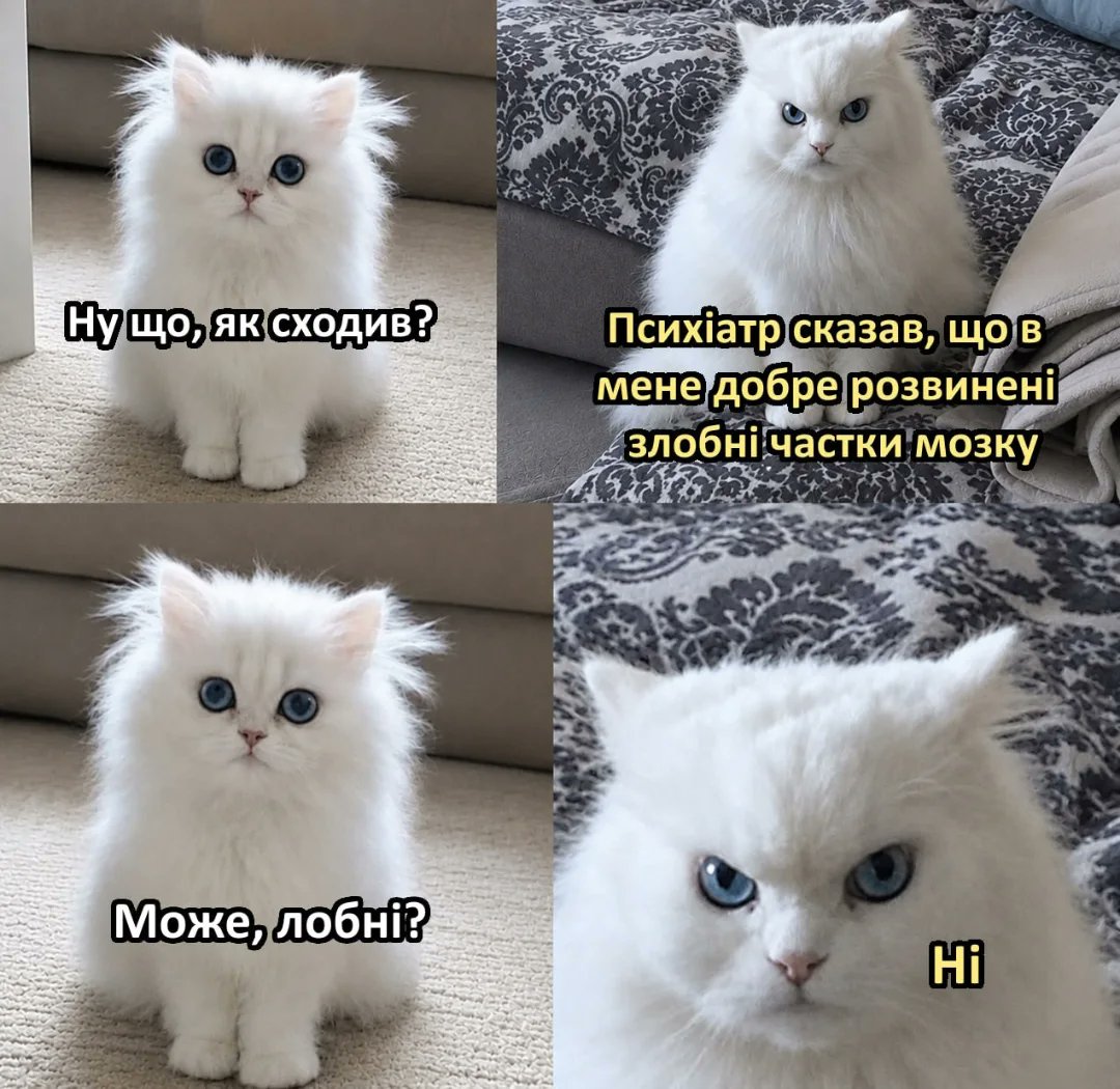 Гумор меми і приколи Сема 😹✌️ tweet media