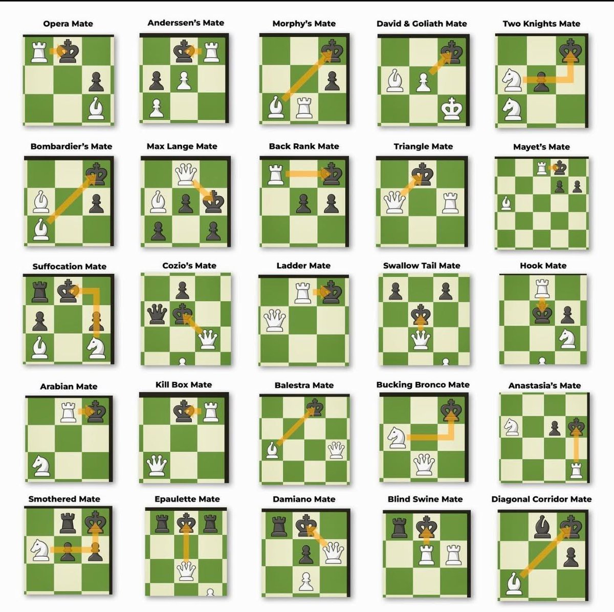 xxChessMaster's tweet photo. Which Checkmate is your favourite?🤔 https://t.co/rD1ArODj5y