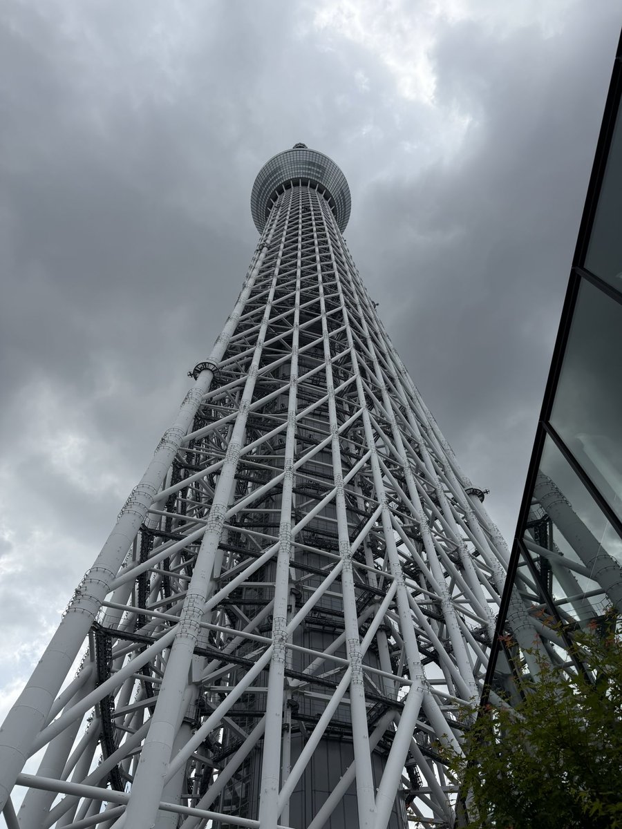 ハオウジュ tweet media