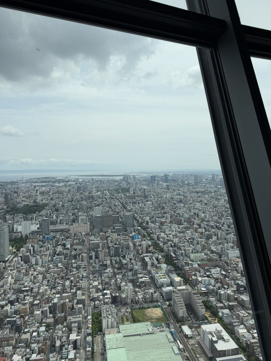 ハオウジュ tweet media