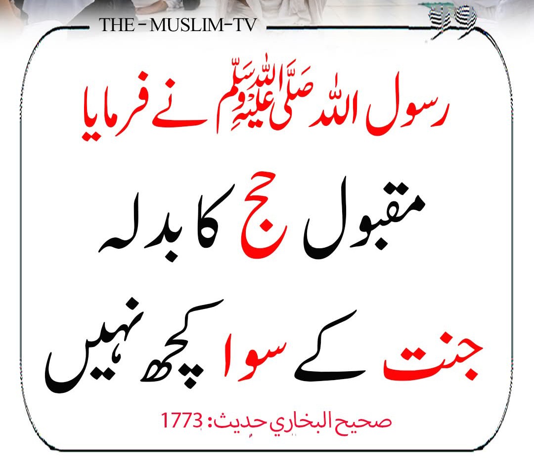 Sayed Ajmal khan tweet media