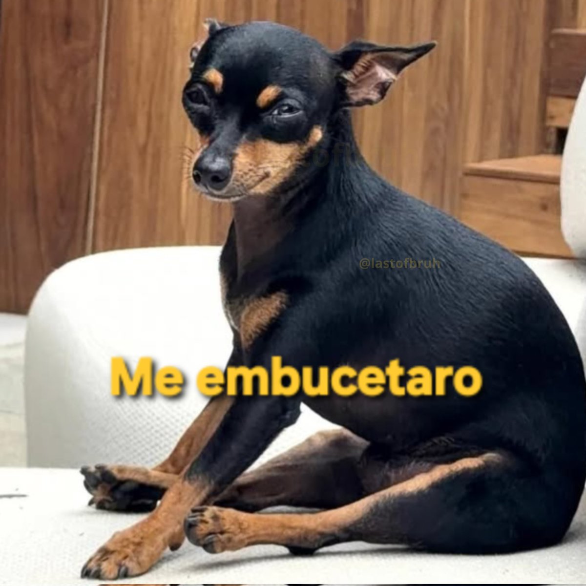 Bruh 🌙 tweet media