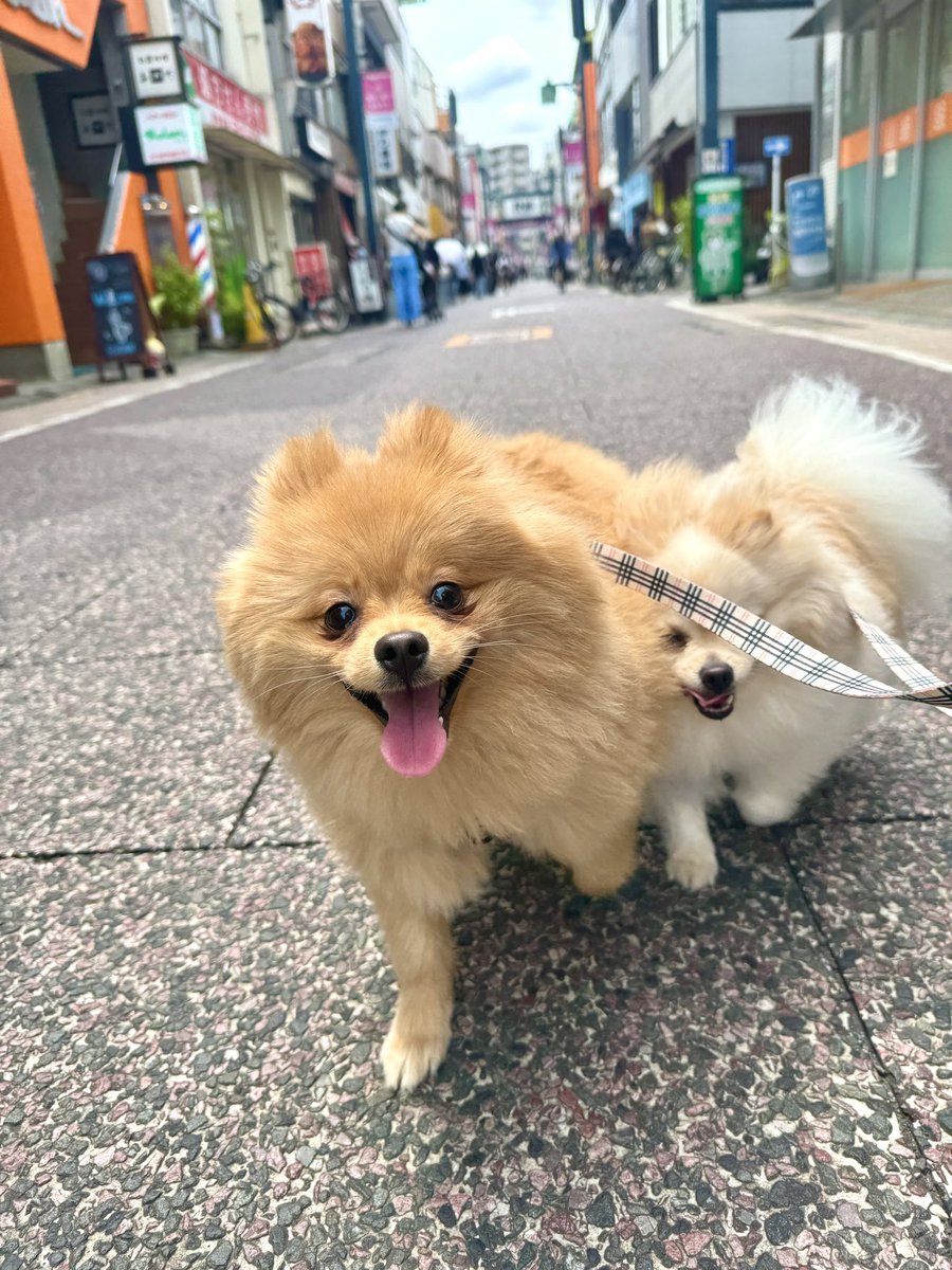 さっくん tweet media