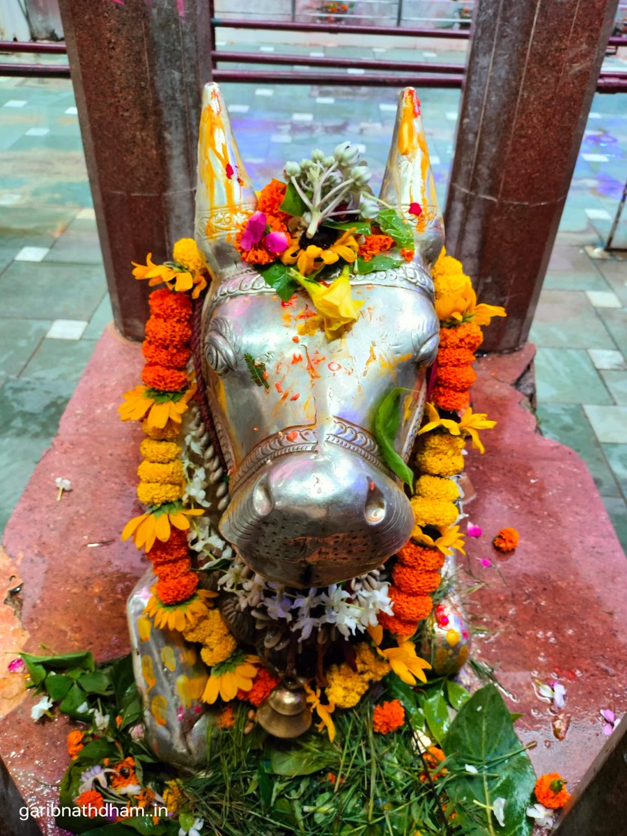 सलाहकार हिन्दू पवन कुमार गुप्ता #प्रशासक समिति PS® tweet media