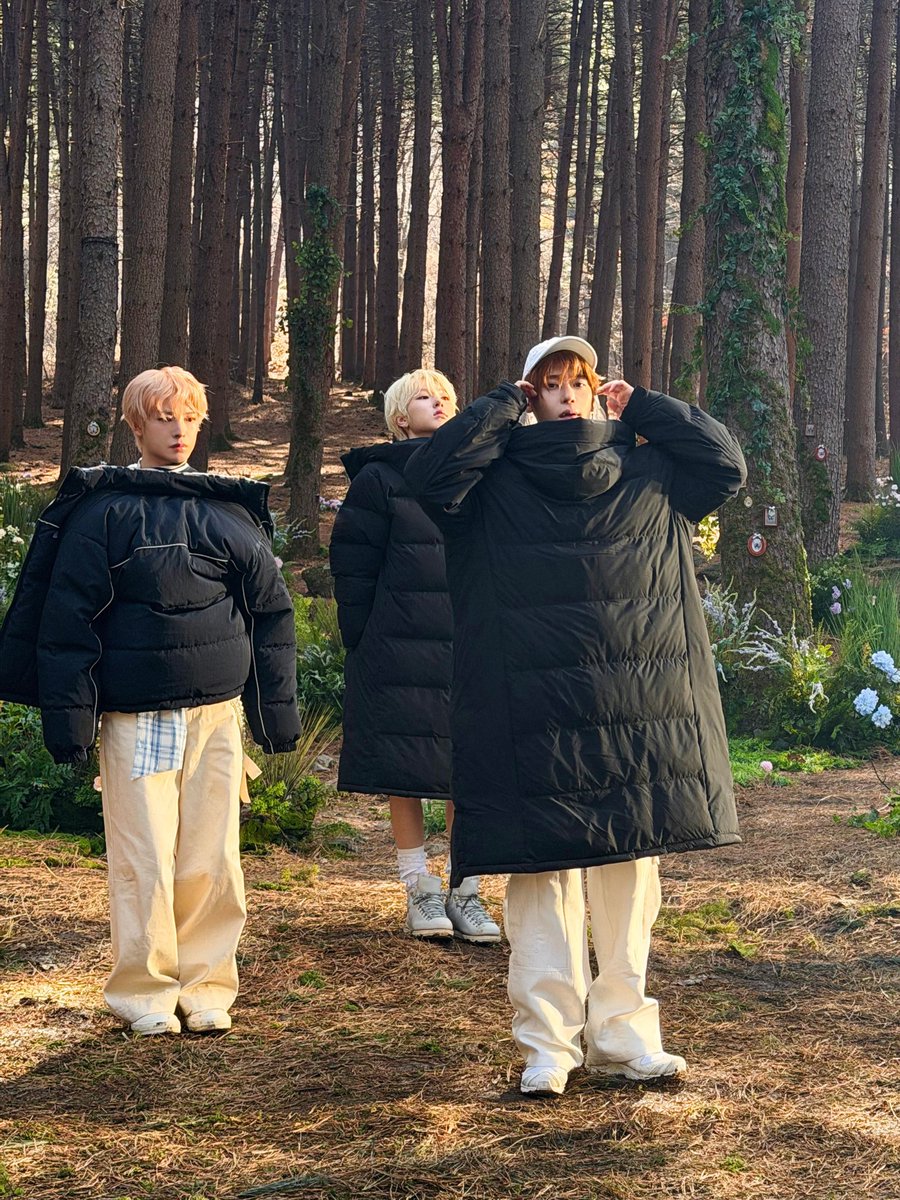 NCT WISH tweet media