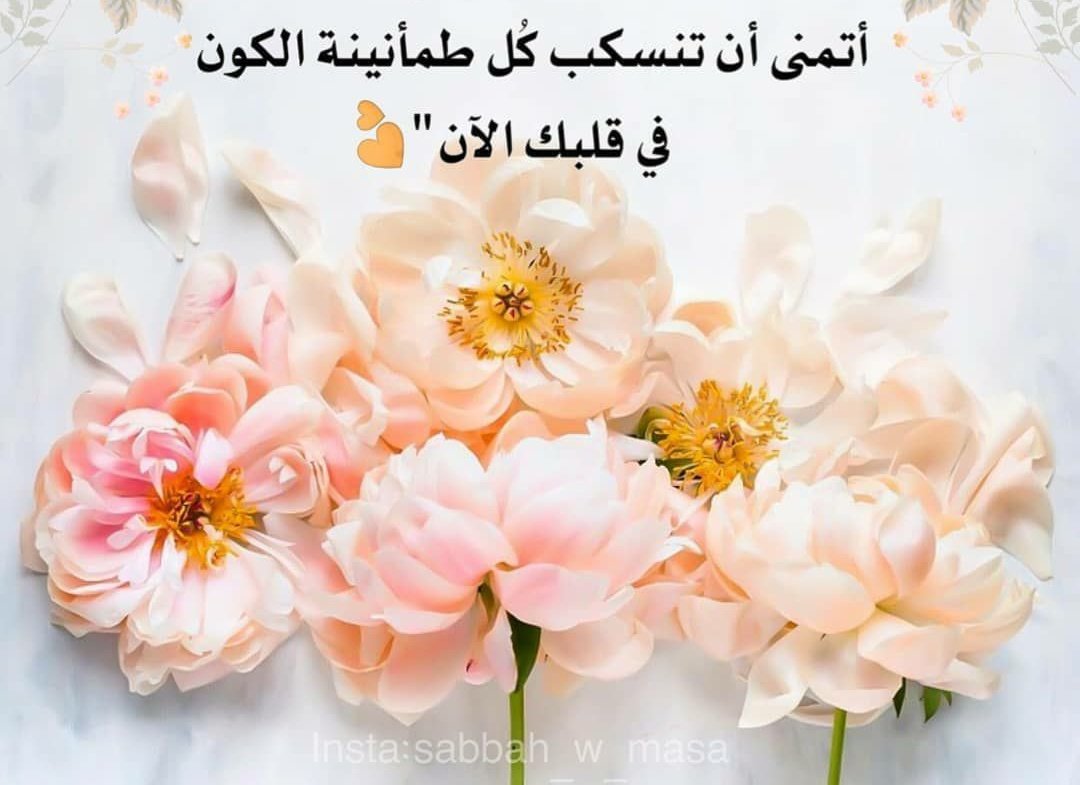 خديجة tweet media