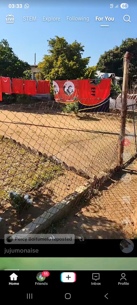 Motlokwa wa mamphela tweet media