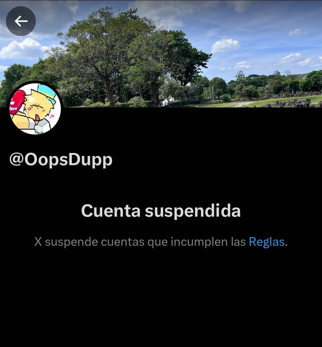 protoquot tweet media