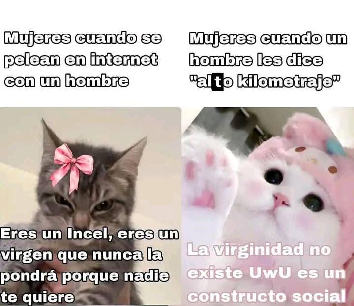 el chilalupche tweet media