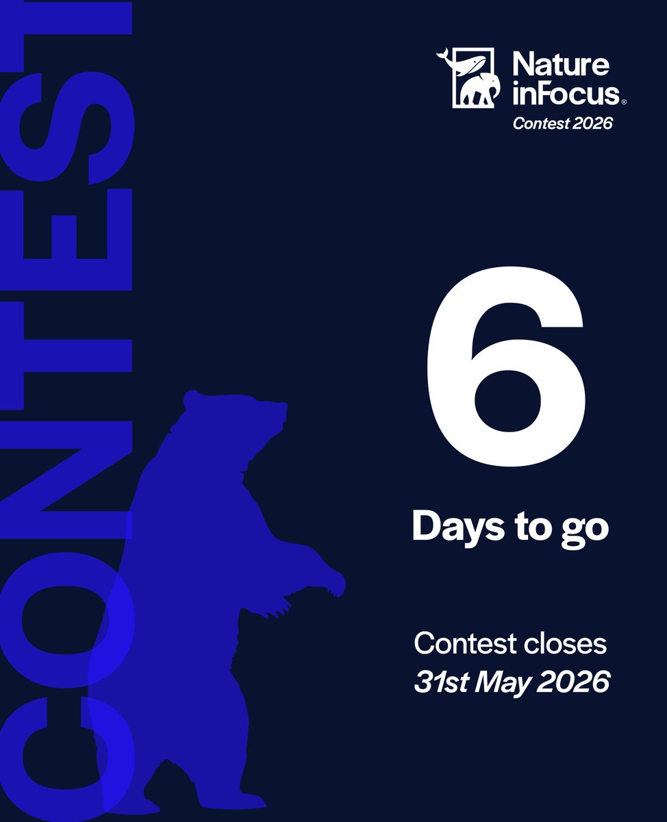 NatureIn_Focus's tweet photo. #NiFContest2026 

6 days. That's all that stands between you and the global stage.

Contest closes 31st May. 
https://t.co/TH7sKGpB4f https://t.co/asrCIXsp97