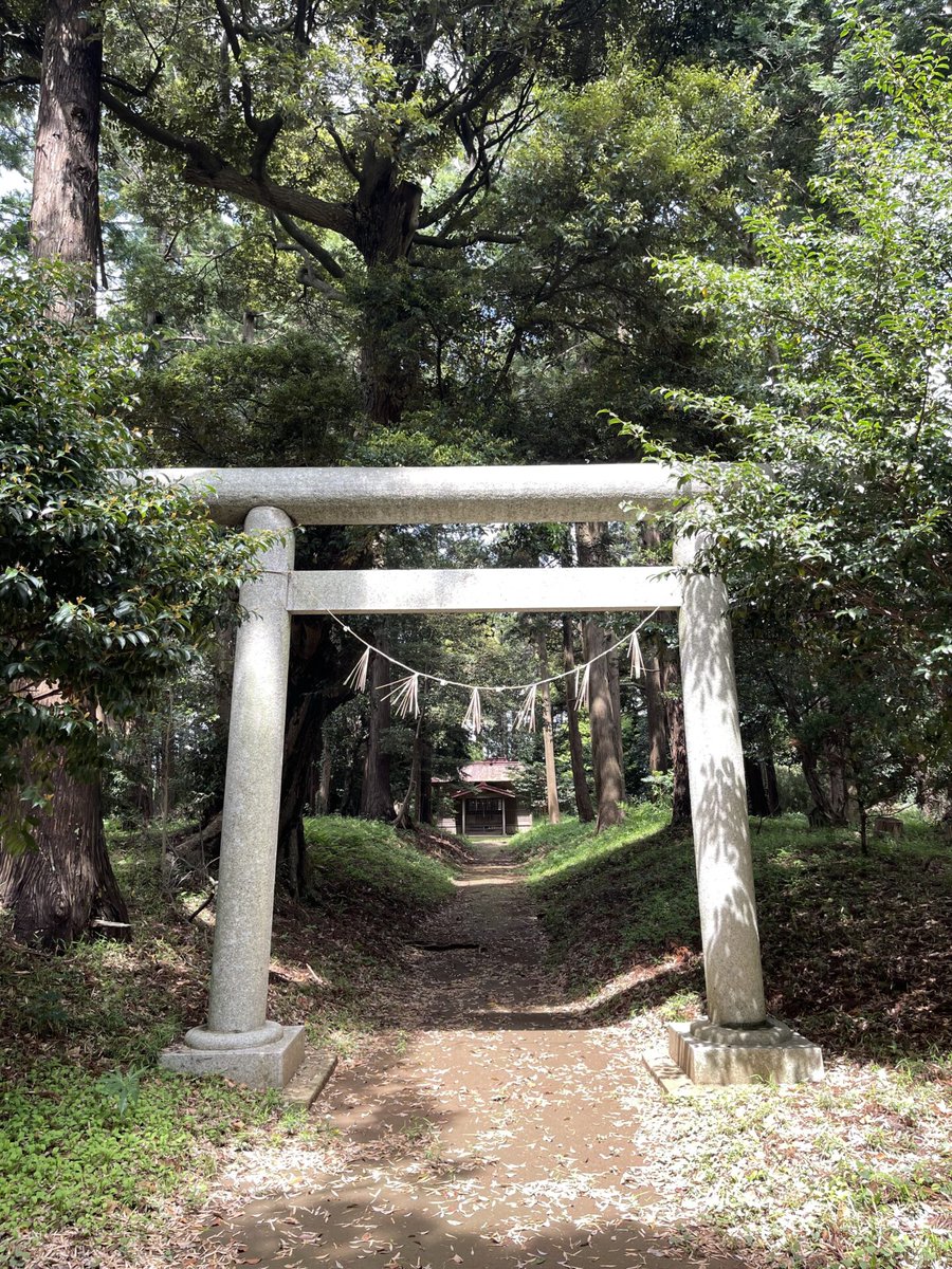 【公式】千葉まほろば神社 tweet media
