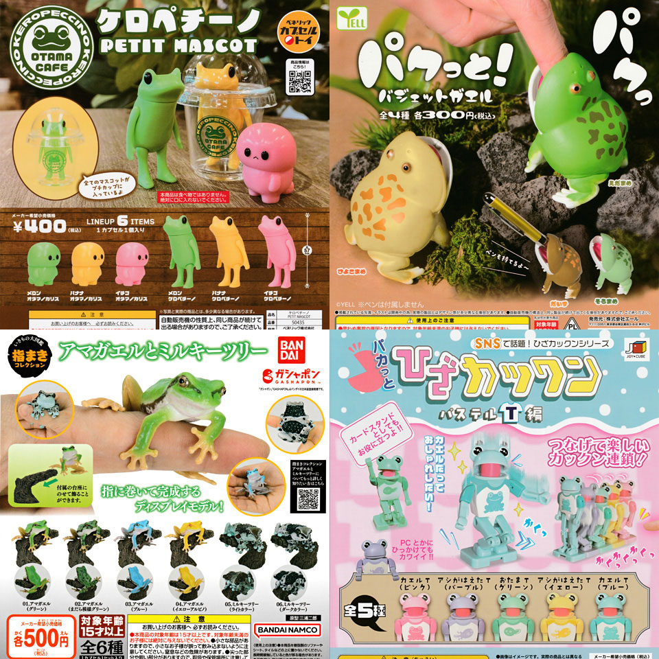 FROGS 自由が丘 tweet media