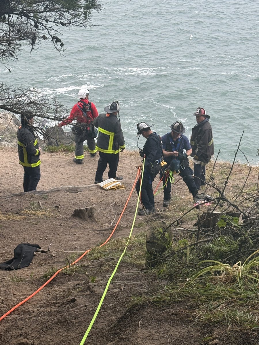 SAN FRANCISCO FIRE DEPARTMENT MEDIA tweet media