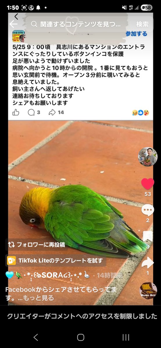 ec15715054's tweet photo. TikTok、Facebookからです
飼い主さま見つけてあげて
ご冥福をお祈りしております
合掌 https://t.co/hUf4ppVUii