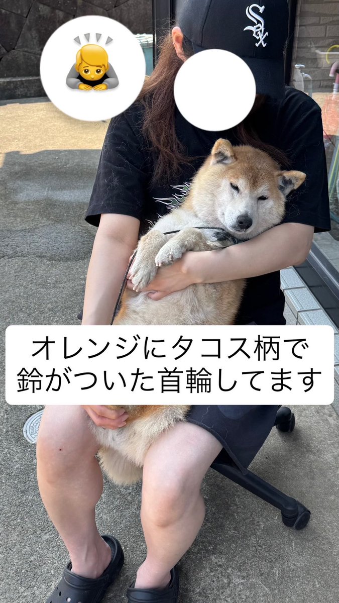 りお tweet media