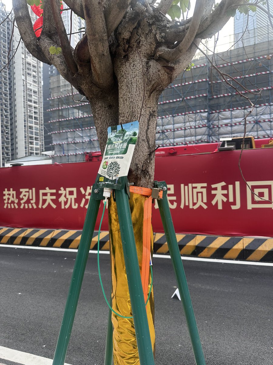 ZkhaliRed8's tweet photo. @WandileSihlobo I have always seen these in China, any idea what it is? https://t.co/0qMvRqfAoG