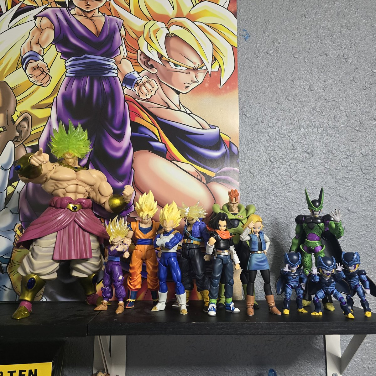 elACO01's tweet photo. Current cell saga display before moving https://t.co/oZJ9wnLlyP