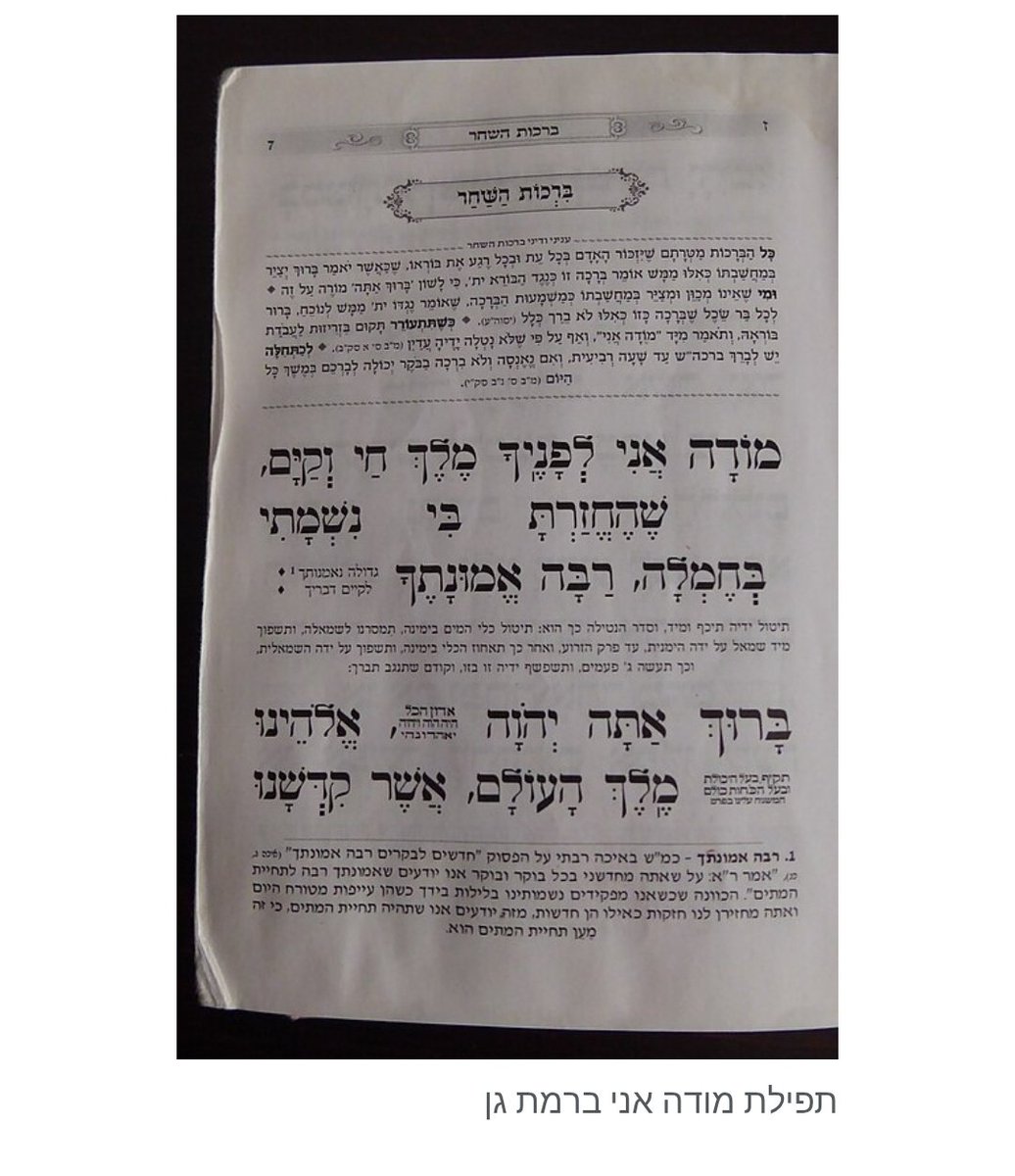 אליהו מיאזאקי • 𐤕𐤉𐤓𐤎 tweet media