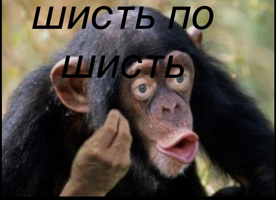 Ivan tweet media