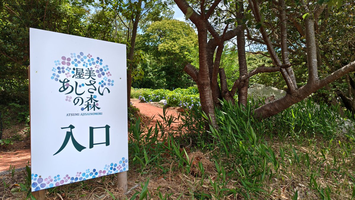 東三河Journey(ひがしみかわジャーニー) tweet media