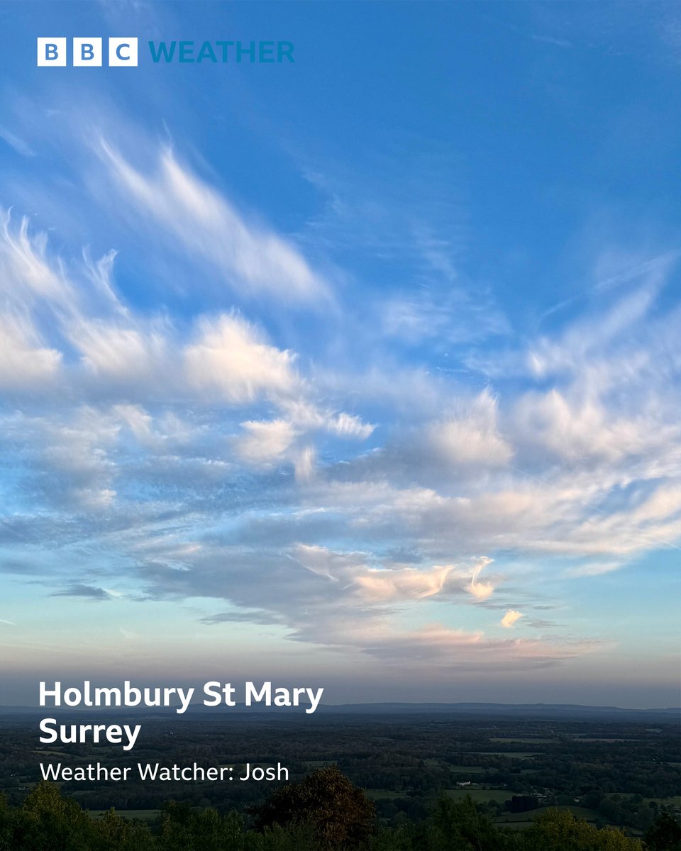BBC Surrey tweet media