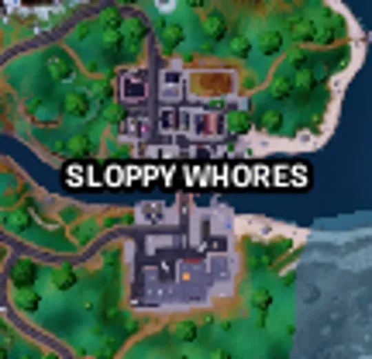 Helsie Fortnite tweet media