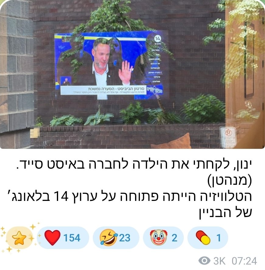 יותם זמרי | Yotam zimri tweet media