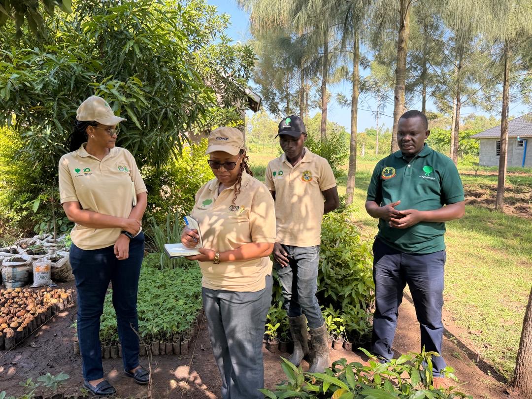 ViAgroforestry's tweet photo. Tarime &amp; Butiama, Mara Region, Tanzania.
Field monitoring with ASILI B CC Partners, IDS, MVIWANYA &amp; BUFADESO in Bubera, Muriba, Ganyange, Ntagacha and Kiterere Wards
Focus on agroforestry, nutrition-sensitive agriculture &amp; clean cooking solutions at community level. https://t.co/W59HL09ZzX