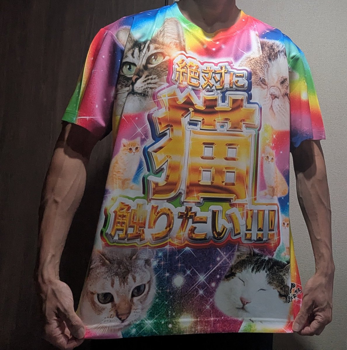 SADAHARU/さだはる (@SADAHARUTV) / Posts / X