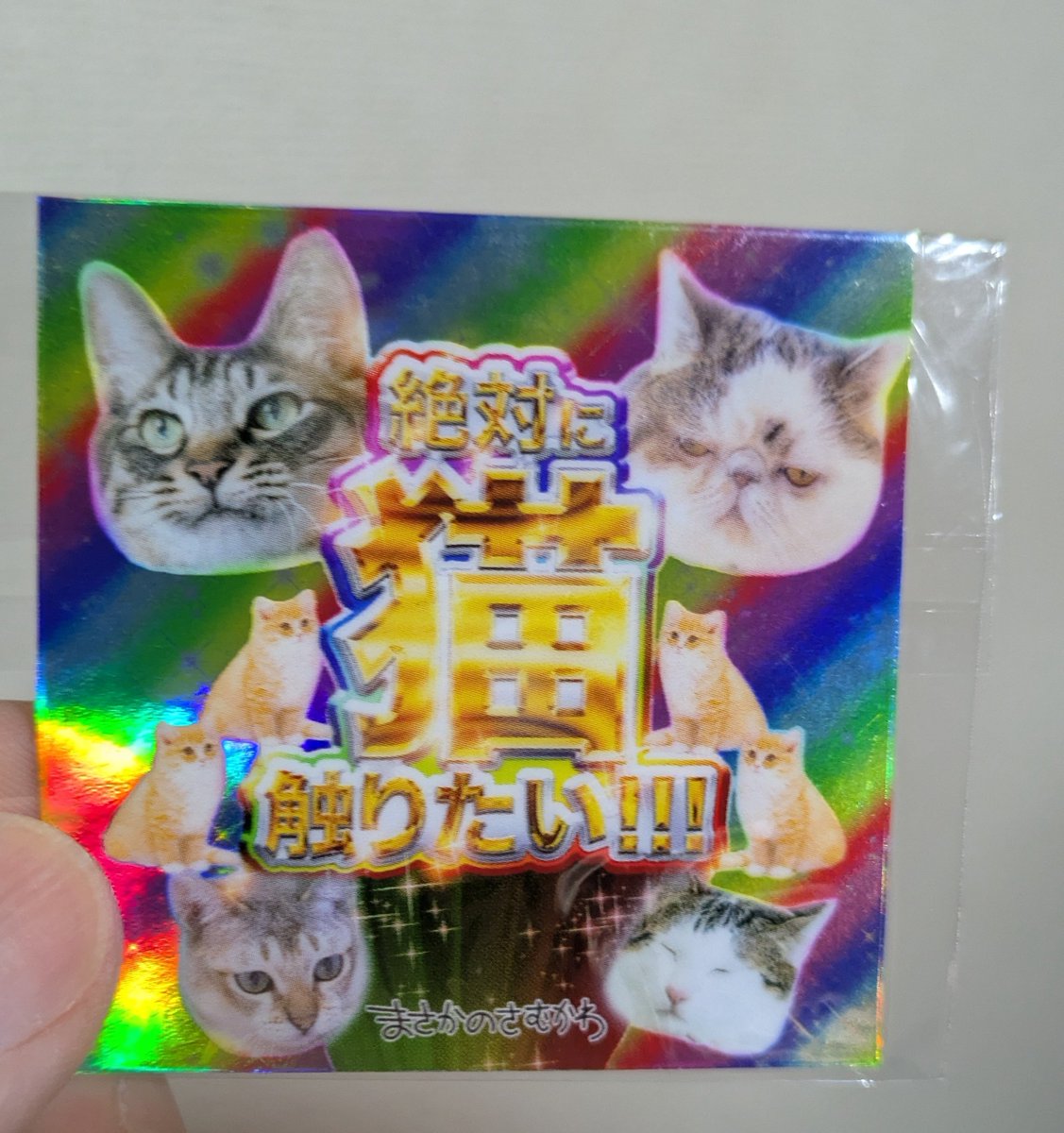 猫を吸いたい 素敵❣️私も絶対猫吸いたい！！！