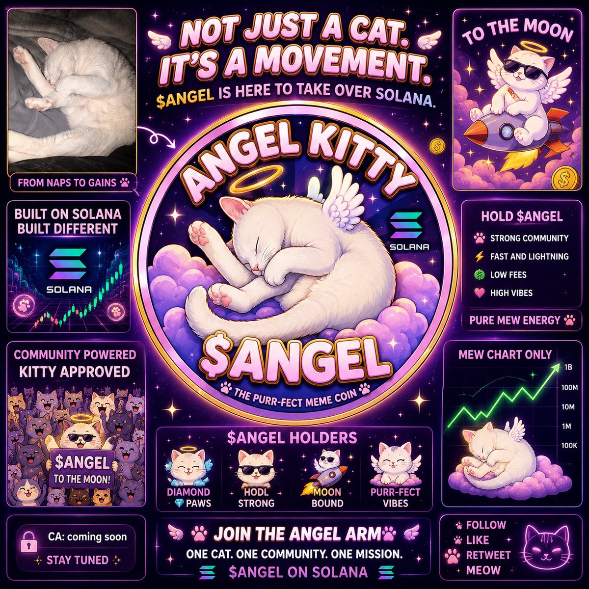 AngelKittySOL's tweet photo. Join the movement on @Pumpfun 

D8NVRZoRBRPbHC4dezpuR3keSGPEtCUHin2tmoJhpump

https://t.co/uvgwwyYG4Q https://t.co/ePlgrV0RBx