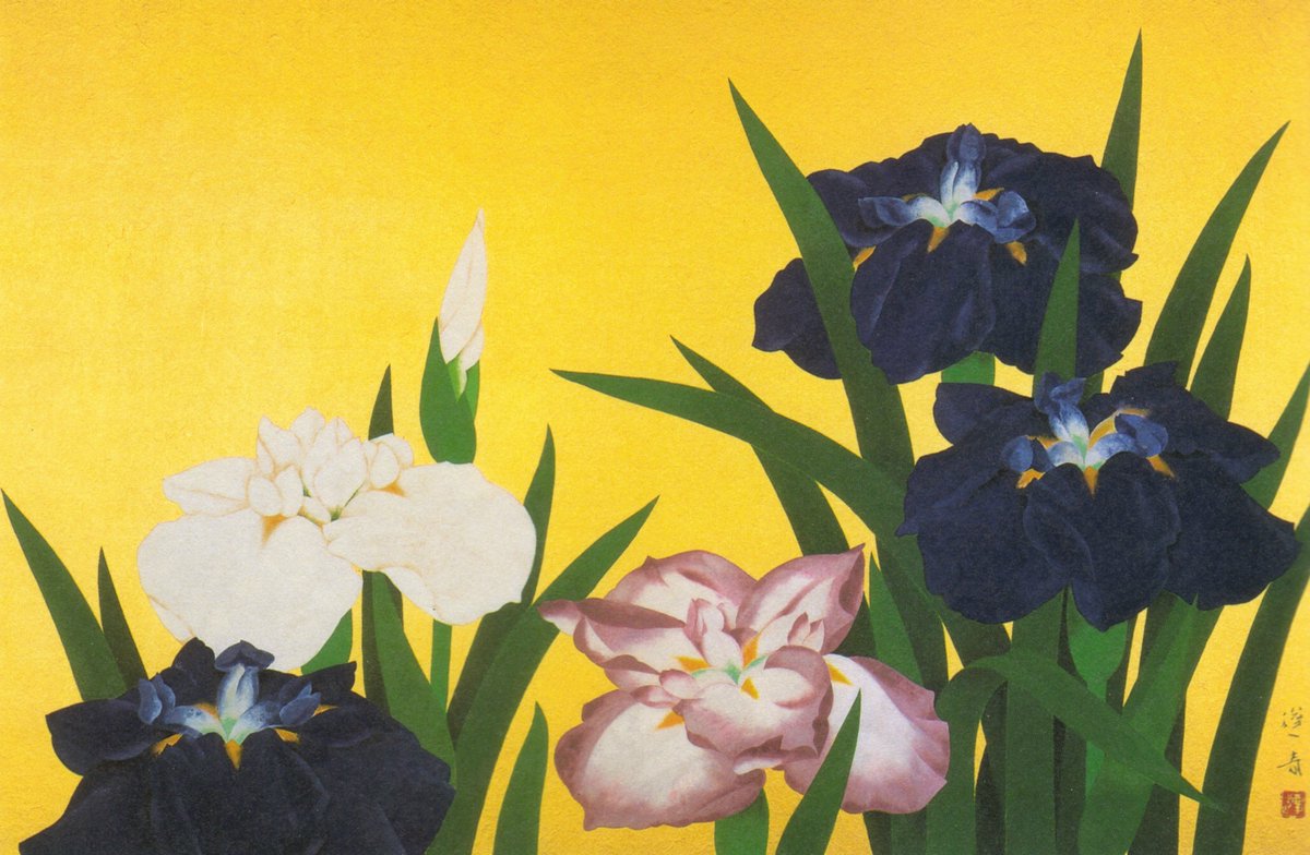 今回は展示していませんが、山口蓬春《花菖蒲》（昭和37年〔1962〕）に
