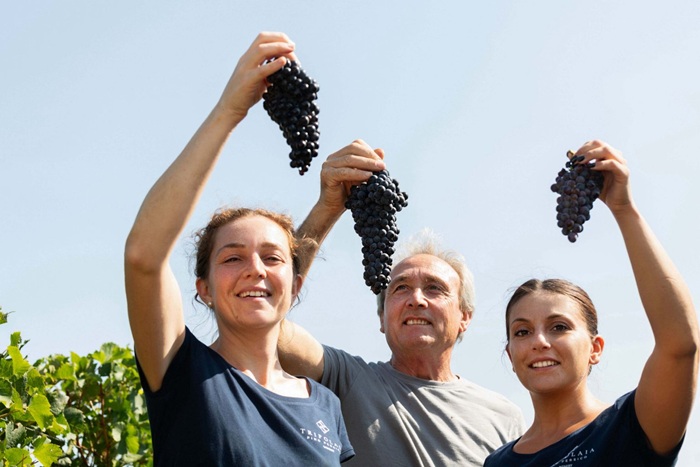 DoctorWine | Daniele Cernilli tweet media