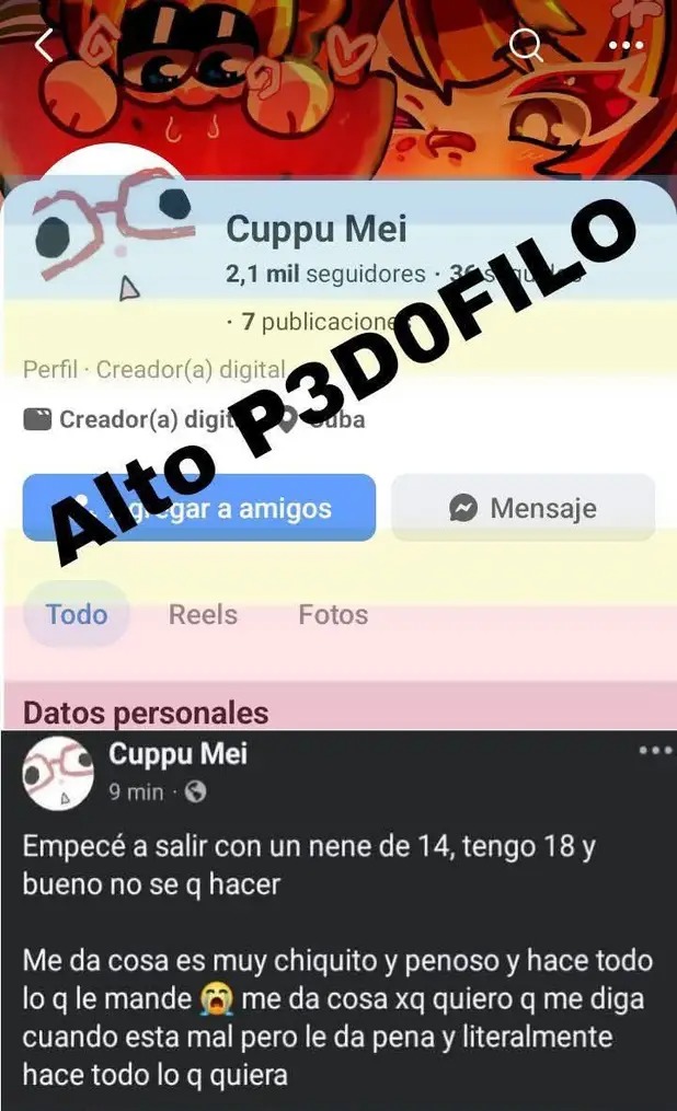 Nekoko tweet media