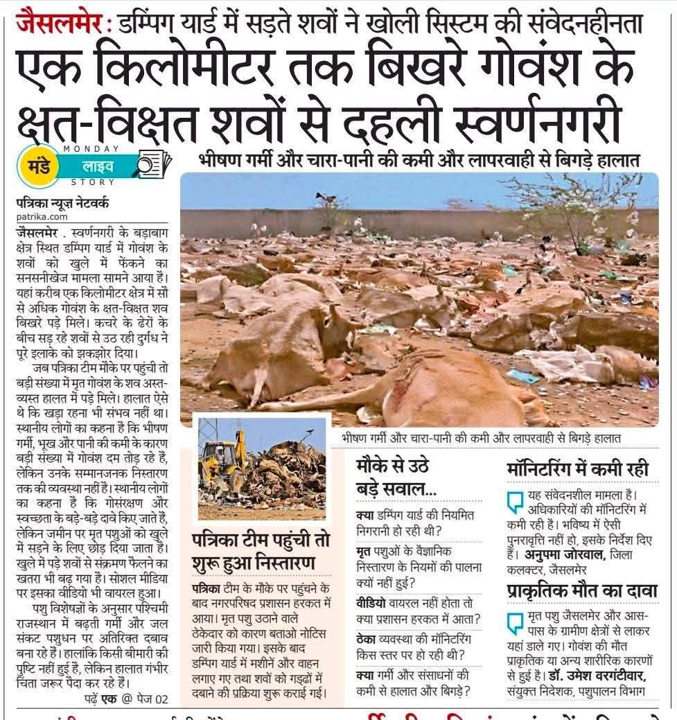 Mohammed Zubair tweet media