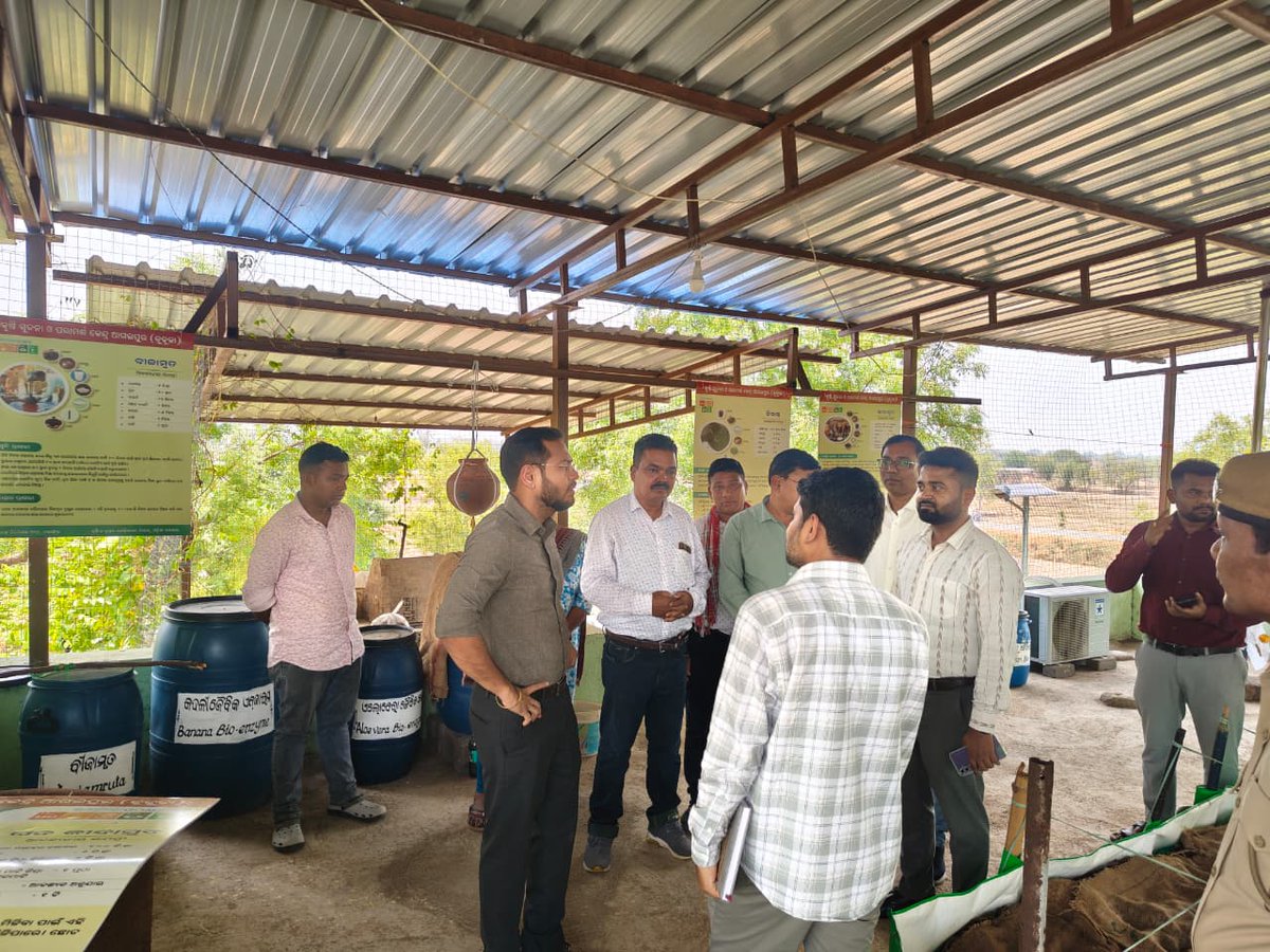 Collector & DM, Balangir tweet media