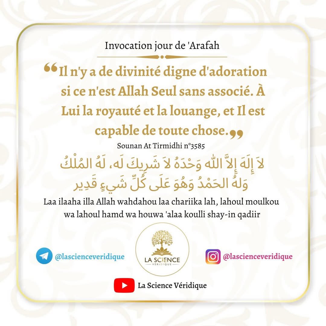 🚹 🇾🇹🇩🇿 tweet media