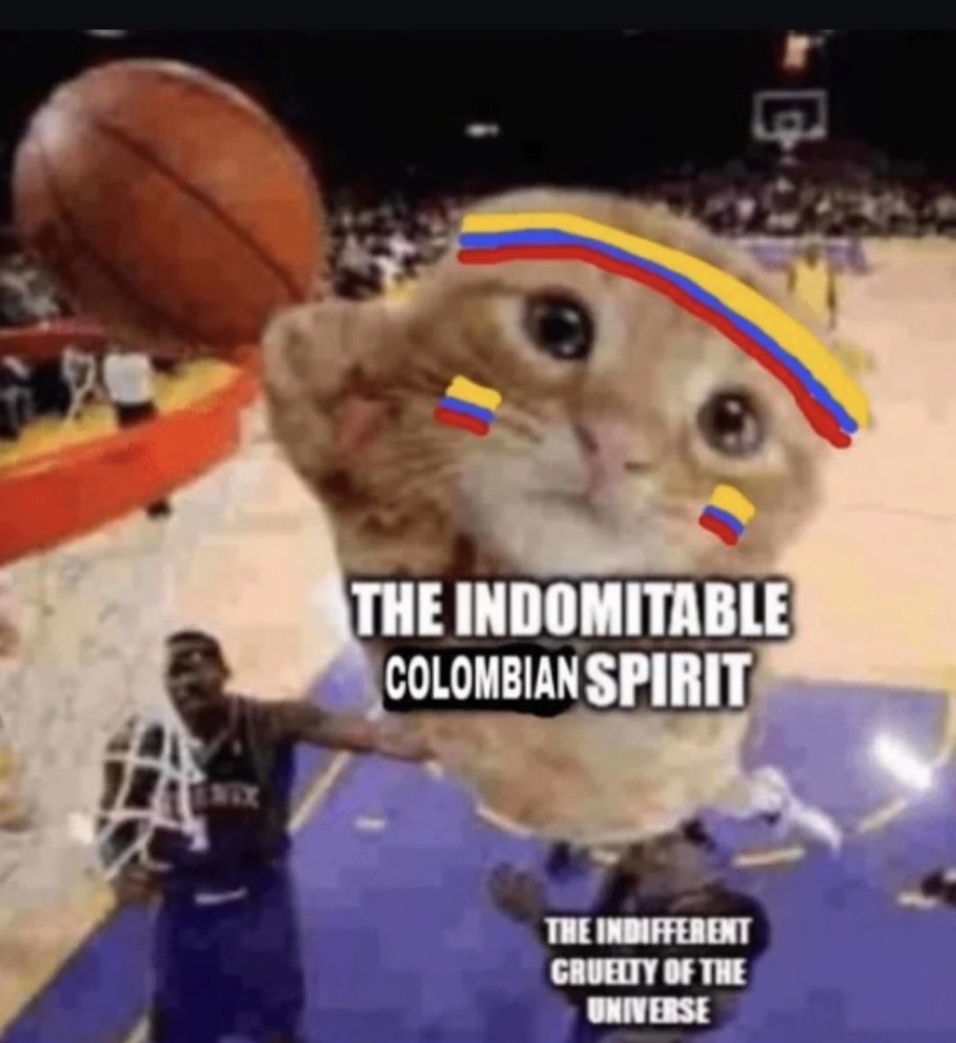 MR.BLACK 🇨🇴 tweet media