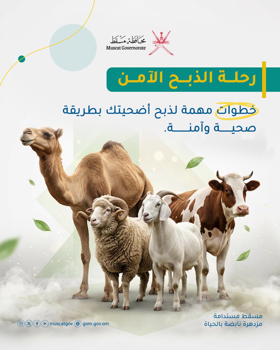 محافظة مسقط - سلطنة عُمان tweet media