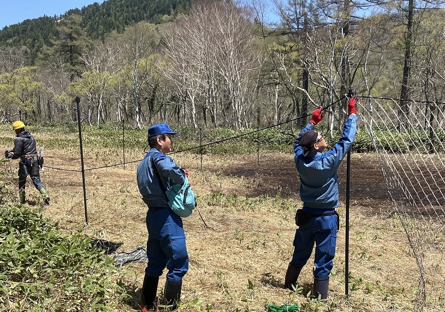 TEPCOPG's tweet photo. 【尾瀬の自然を守る！植生保護活動に参加】
当社群馬総支社は、公益財団法人 尾瀬保護財団のご依頼を受け、企業ボランティアとして尾瀬国立公園での植生保護活動に参加しました。

二ホンジカの採食や掘り起こしから貴重な自然を守るため、他企業や尾瀬ボランティアの皆さまと協力し、 ポール設置やネット張り、アンカー打ち込みを行い、植生保護柵（シカ柵）を設置しました。

当社は、今後も自然環境保護や地域社会への貢献に努めてまいります。

#TEPCOPG