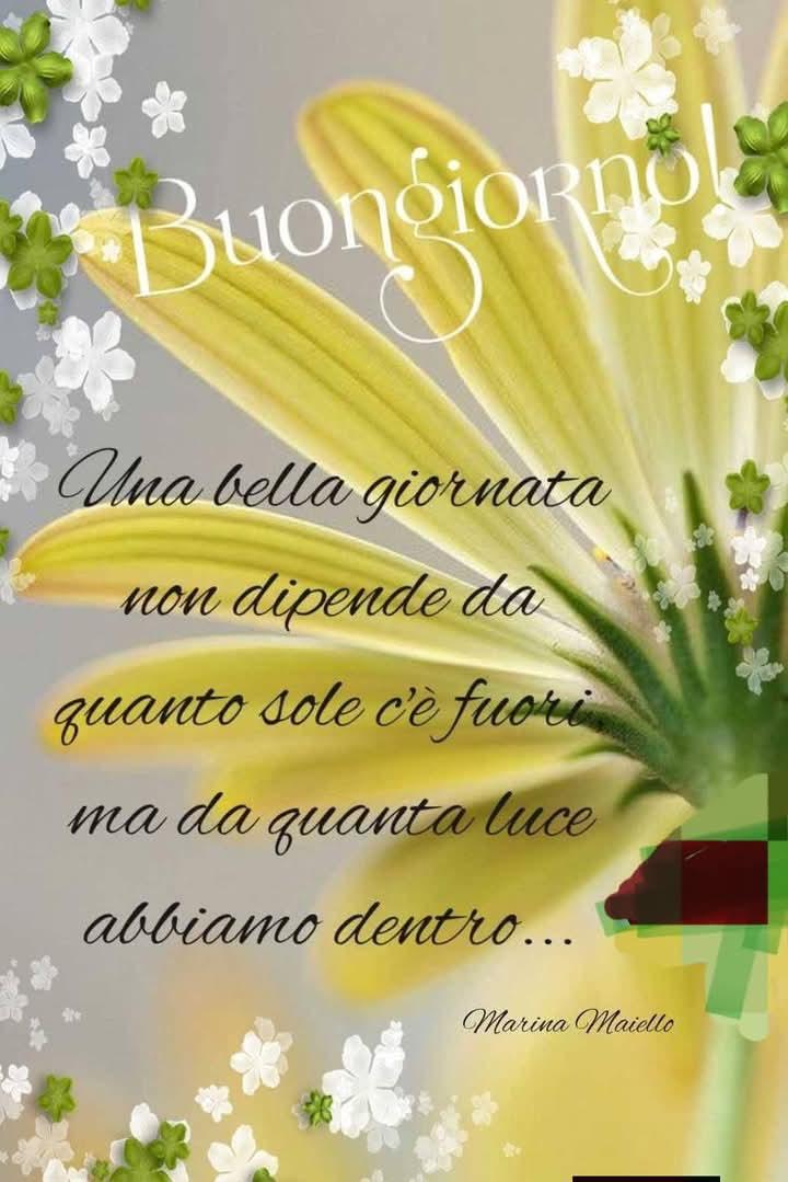 Fulvia tweet media